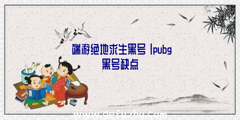 「端游绝地求生黑号」|pubg黑号缺点